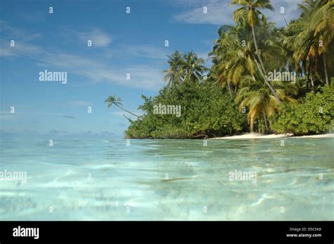 Maldives tropical island Stock Photo - Alamy