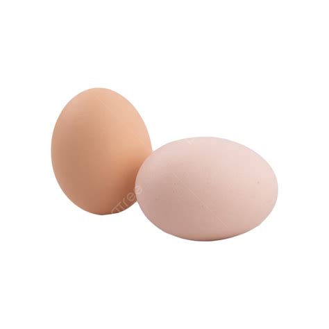 Chicken Egg Round Eggshell Food Egg Eggshell Photography Png