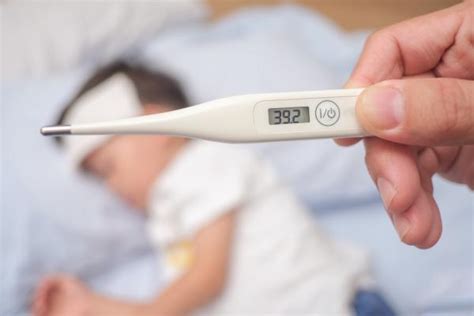 C Mo Bajar La Fiebre En Casa Gu A Con Consejos