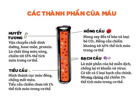 Đố bạn biết máu người gồm những thành phần nào