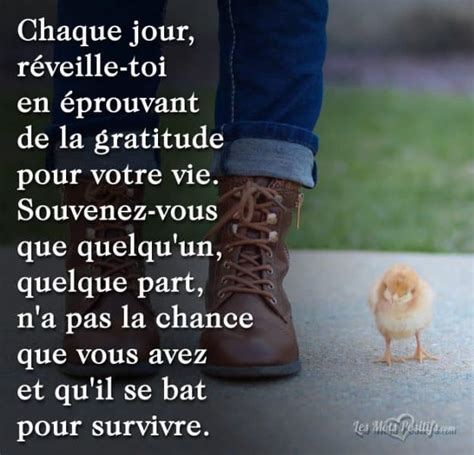 Chaque jour réveille toi en éprouvant de la gratitude Les Mots