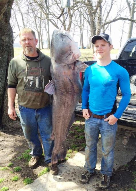 Missouri Angler Lands Massive Pound Blue Catfish Smashes State