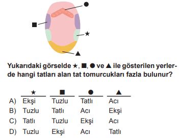 6 Sınıf Fen Bilimleri Duyu Organları Testi Çöz