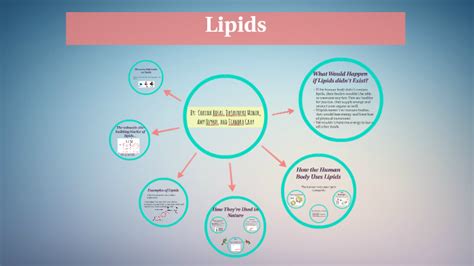 Lipids In The Human Body