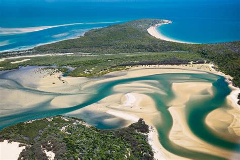50 Things to Do This Summer in Queensland - Explore Lady Musgrave