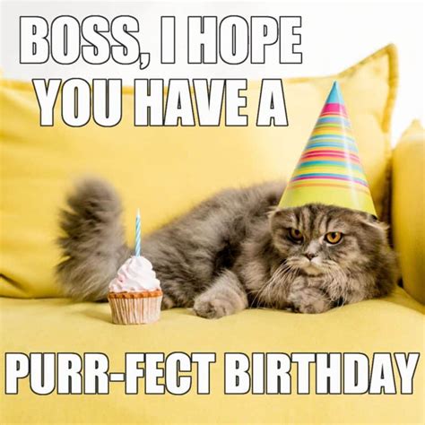 Funny Happy Birthday Memes For Your Boss