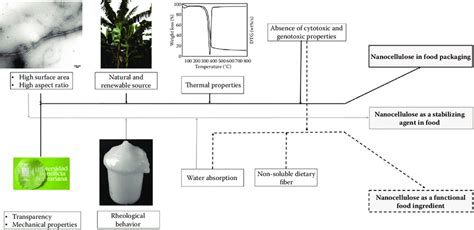 Nanocellulose properties to develop food applications Source: Copyright ...