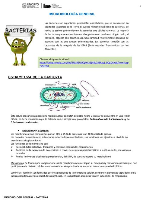 Solution Microbiologia General Bacterias Studypool