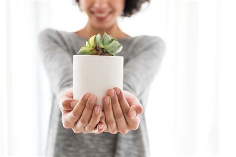 Mujer Sosteniendo Una Maceta Con Planta Foto Premium