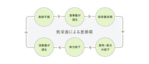 安心安全の食事 – みゆき園デイサービスセンター通所介護事業所 | 健成会 | みゆきの里