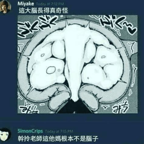 這個大腦長的真奇怪 梗圖板 Dcard