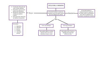 Arriba Imagen Mapa Mental Del Ciclo De Carbono Abzlocal Mx