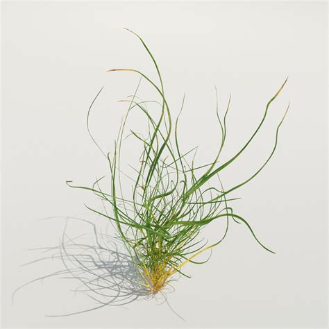 Grass Strands Small Grass Models Blenderkit