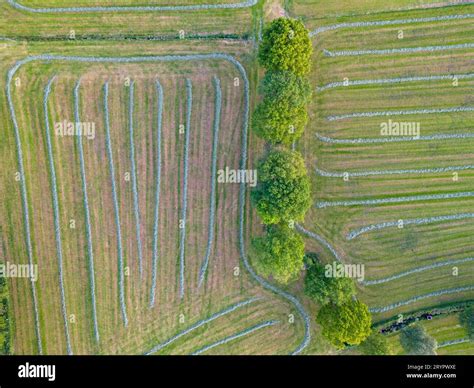 Grass field birds eye view hi-res stock photography and images - Alamy