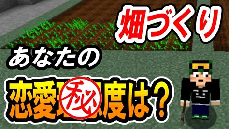 【マインクラフト】まったり心理テストしながら畑づくり！あなたの恋愛〇〇度を判定！？【chitaのマイクラ実況part4】 Youtube