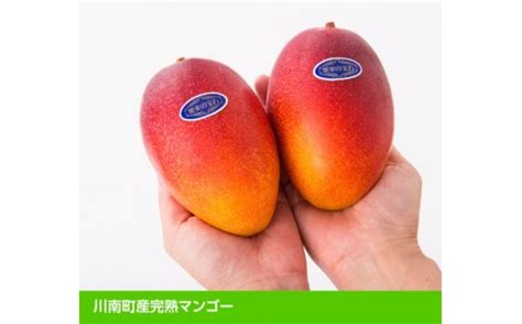 【令和6年発送】宮崎県産完熟マンゴー「果実の宝石」3l×2玉【果物 フルーツ マンゴー 宮崎県産 みやざきマンゴー 先行予約 数量限定 期間