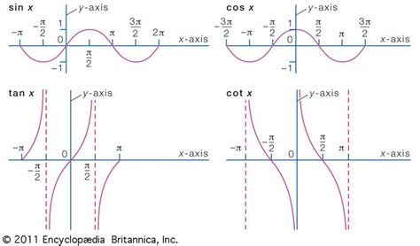 Function Definition Types Examples And Facts