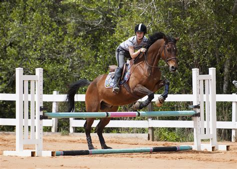 Sand & Spur Riding Club open house > Eglin Air Force Base > Article Display