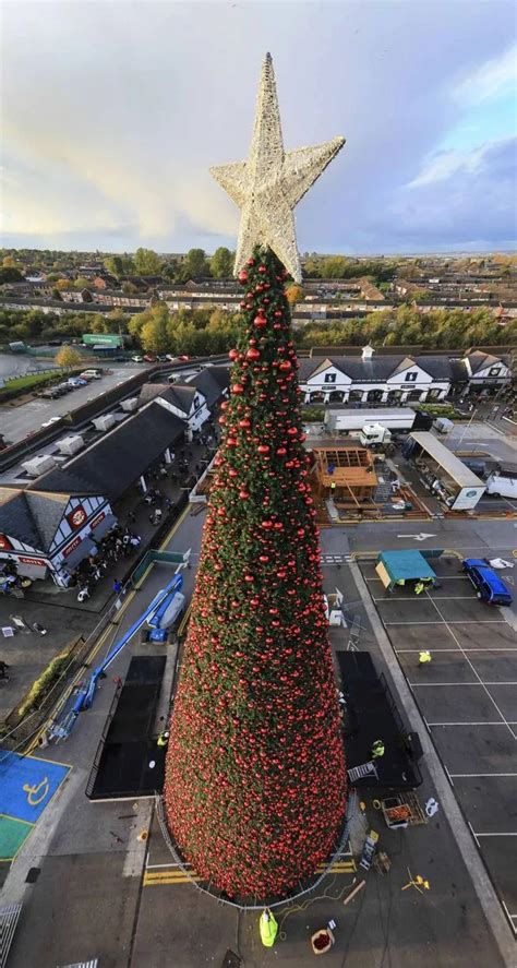 Cheshire Oaks Christmas Tree Cheshire Live