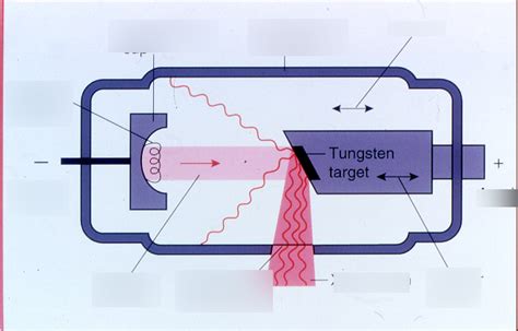 Xray Tube Diagram Quizlet