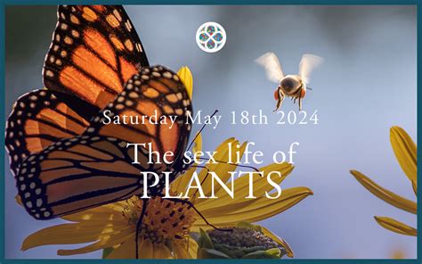 The Sex Life Of Plants Saturday May Th