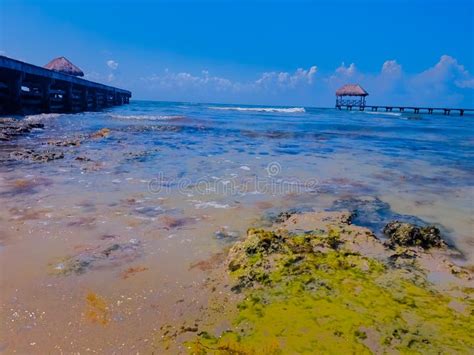 Beach at Grand Mayan Resort. Stock Image - Image of mayan, grand: 277545091