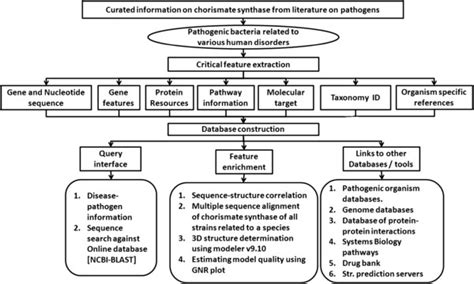 Structure Of Chorismate Synthase Database Download Scientific Diagram