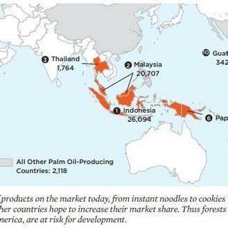 Top Palm Oil Producing Countries Thousands Of Tons Of Oil