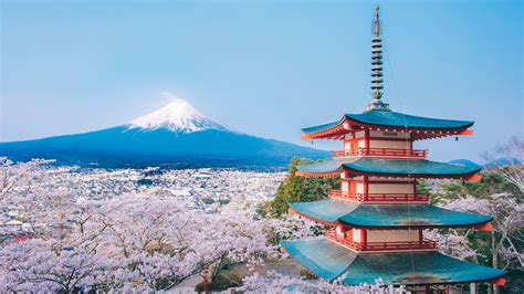 新倉山浅間公園｜富士山と桜を愛でるならここ！魅力あふれる公園をご紹介 フジヤマnavi