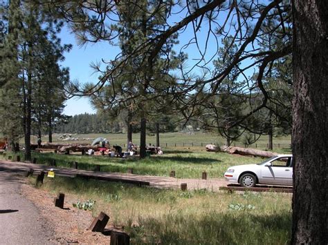 Cleveland National Forest - Camping & Cabins | Forest camp, Acadia ...