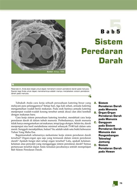 A Sistem Peredaran Darah Pada Manusia Buku Sekolah Elektronik