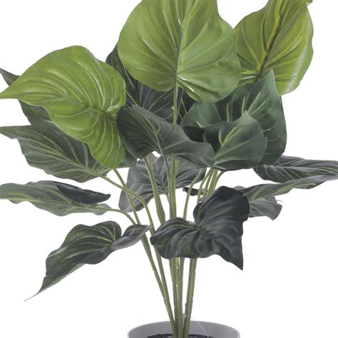 Planta Artificial Alocasia Cucullata 40 Cm De Alto Mallorca Cl