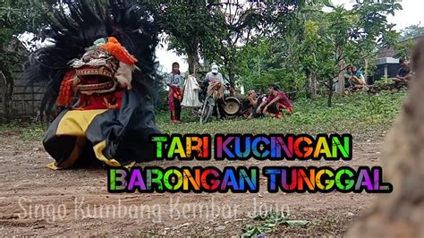 Tari Kucingan Barongan Tunggal Singo Kumbang Kembar Joyo Youtube