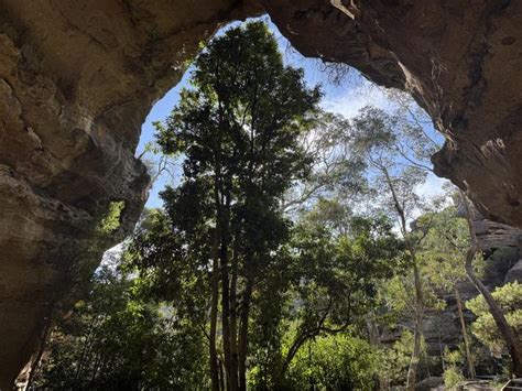 Dargan Shelter: Australia’s oldest occupied Ice Age cave found at high ...