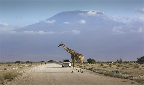 7 of the best road trips in Kenya - Lonely Planet
