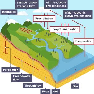 The Drainage Basin Ccea Bbc Bitesize