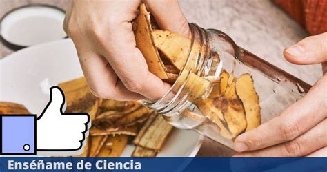 Los Científicos Descubrieron Algo Increíble Al Usar La Cáscara De Plátano Como Ingrediente