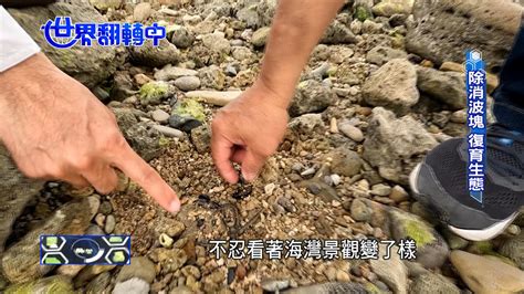 消波塊防護海岸成過去式？ 兼具景觀、生態工法成趨勢 世界翻轉中 Tvbs官網