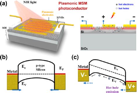 Plasmonic Msm Photoconductor Based On Random Ausinhs A Schematic