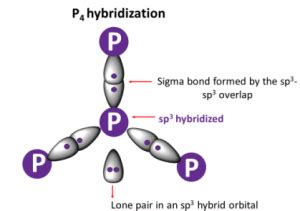 P4 Lewis structure, molecular geometry, hybridization, polar or nonpolar