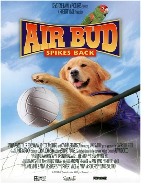 Air Bud: Spikes Back | Walt disney movies, Air bud, Air bud movies