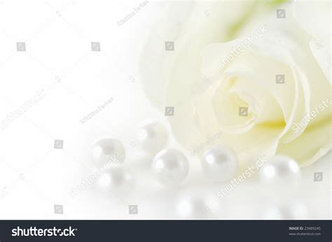 Beautiful White Rose Pearls Stock Photo 23489245 Shutterstock