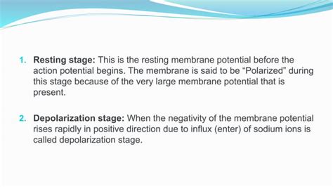 Action Potential Presentation Ppt