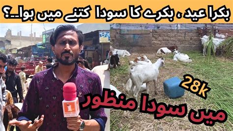 ALHAMDULILLAH QURBANI KE LIE 21 HAZAR KA DHUMBHA La Lia Bakra Eid