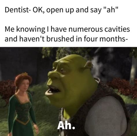 Making A Meme From Every Line In Shrek 2001 Day 512 R Shrekmemes