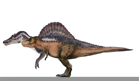 Rexy Vs Spino Size Comparison: A Battle of Prehistoric Giants