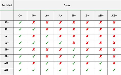 Bood Transfusion Part Basics Wfsa Resources