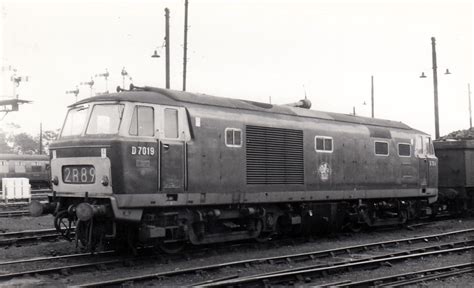 Beyer Peacock Hymek D7019 On Shed At Oxford An EBay Purch Colin