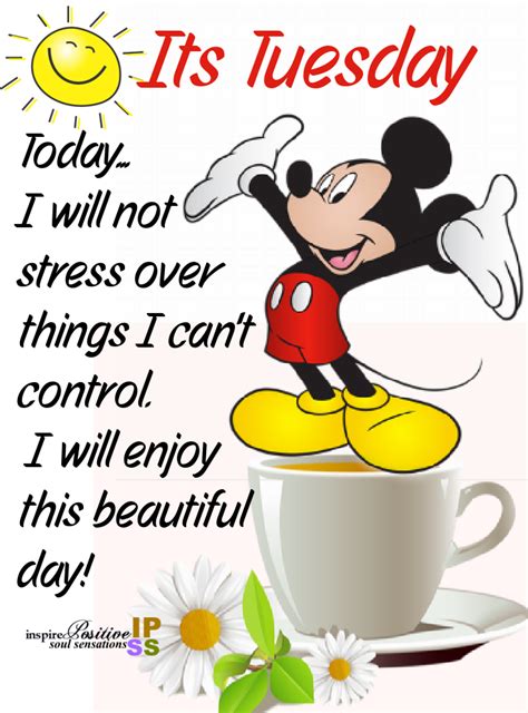 It S Tuesday Today I Will Not Stress Over Things I Can T Control I