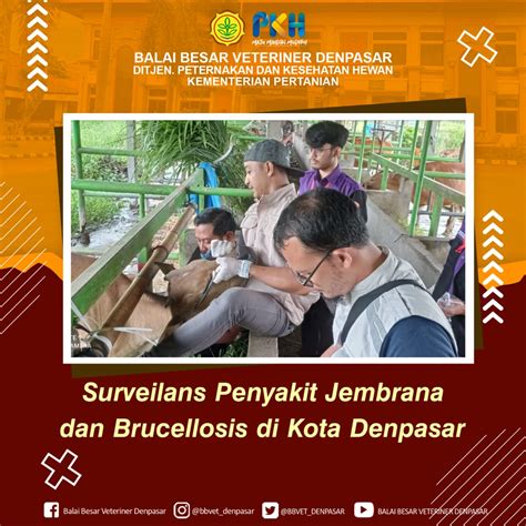 Surveilans Penyakit Jembrana Dan Brucellosis Di Kota Denpasar Balai